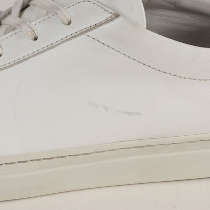 Achilles Low (1528 0506)