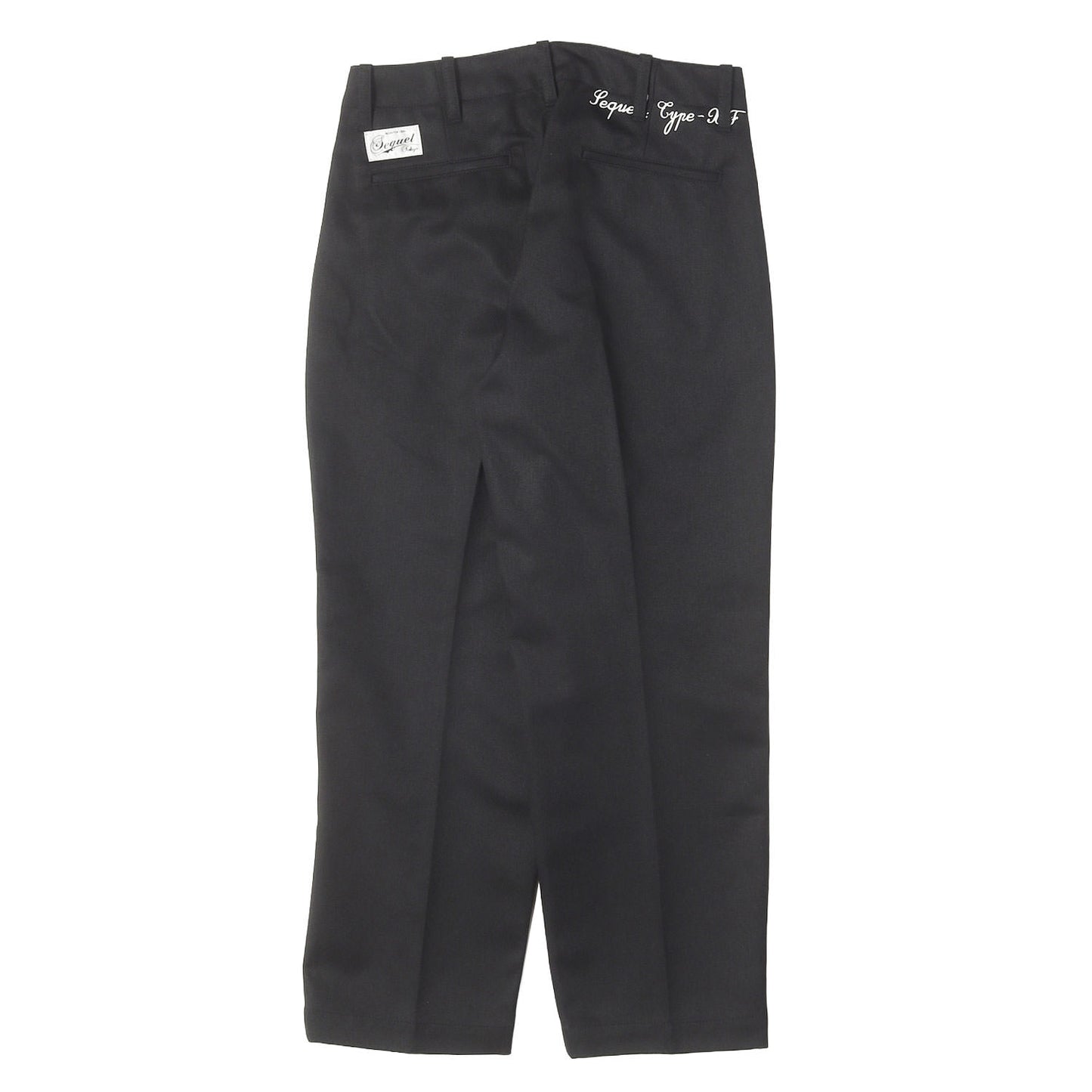 25AW ロゴプリント ツイル チノパンツ (CHINO PANTS TYPE-XF)
