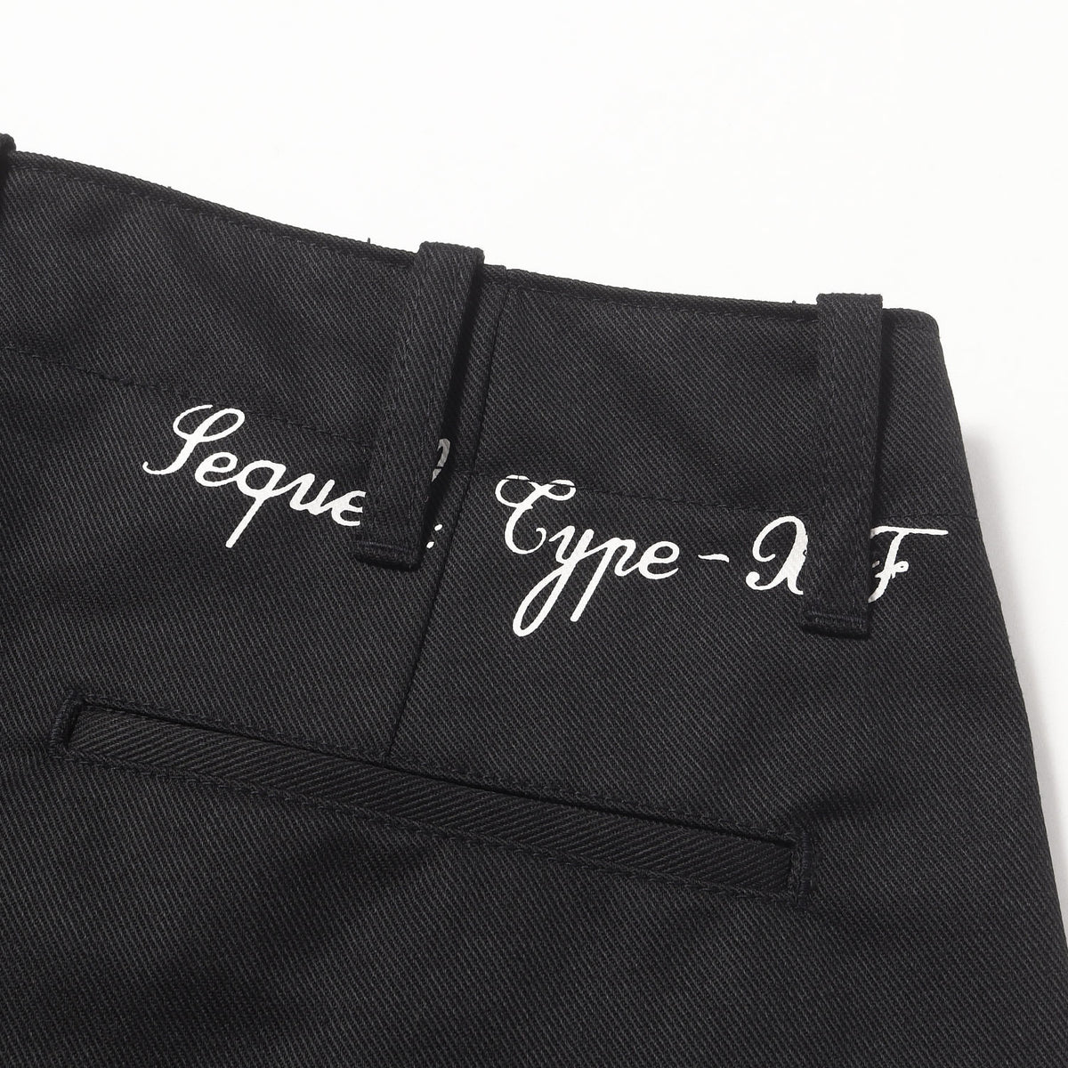 25AW ロゴプリント ツイル チノパンツ (CHINO PANTS TYPE-XF)
