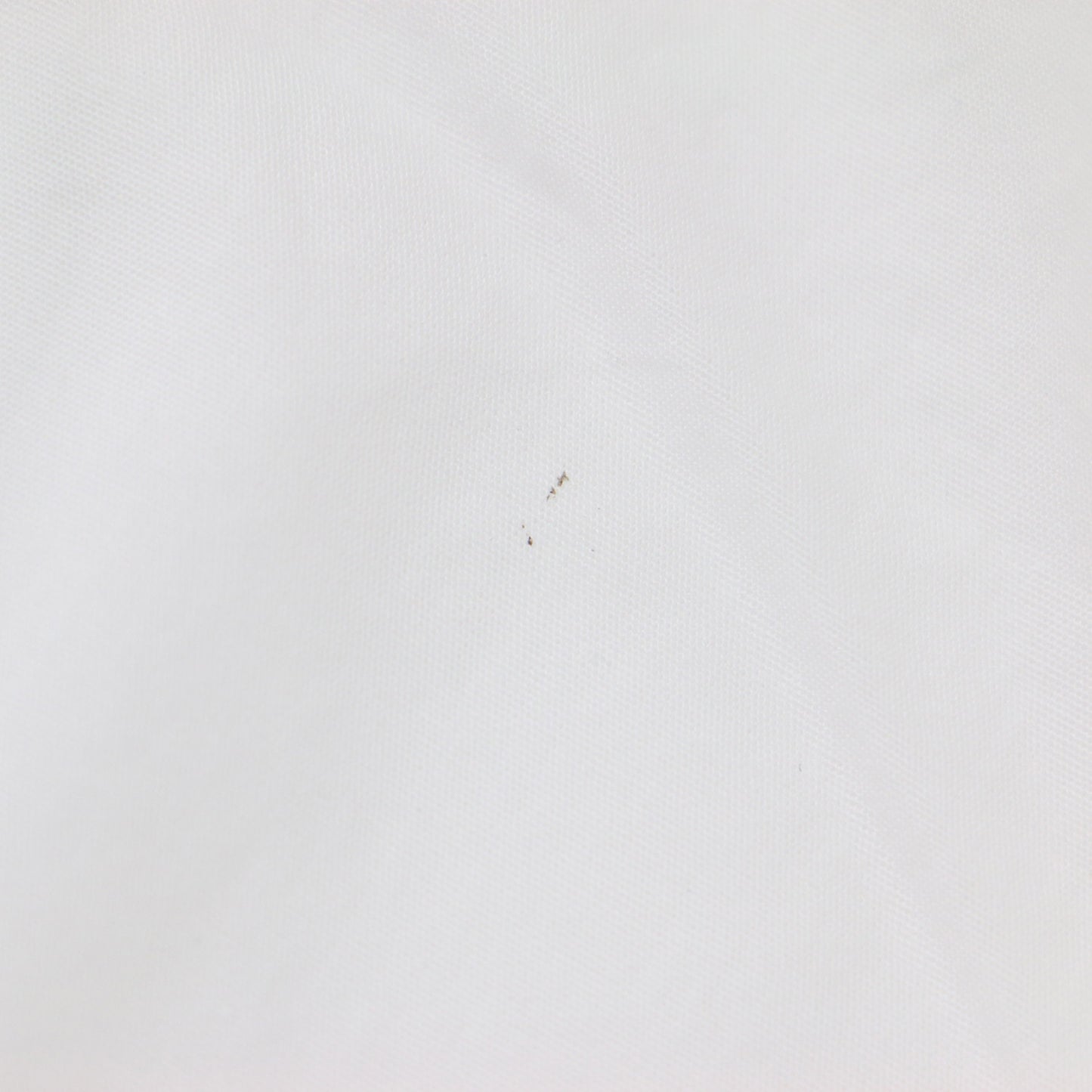 コットン ボタンダウン 長袖 シャツ / ブラウス B.D 240821