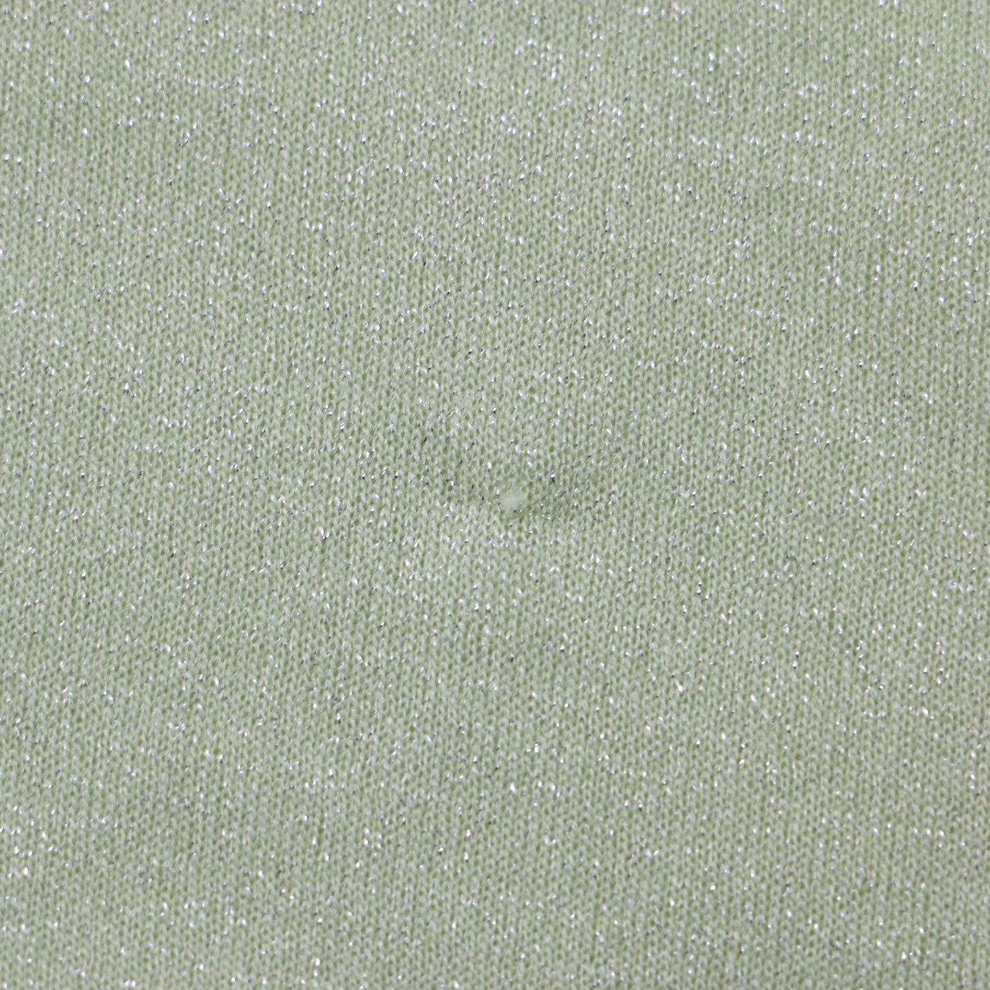 24秋冬 ラメ シアー カット トップス / 長袖 ボートネック カットソー Tシャツ 241115