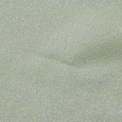 24秋冬 ラメ シアー カット トップス / 長袖 ボートネック カットソー Tシャツ 241115