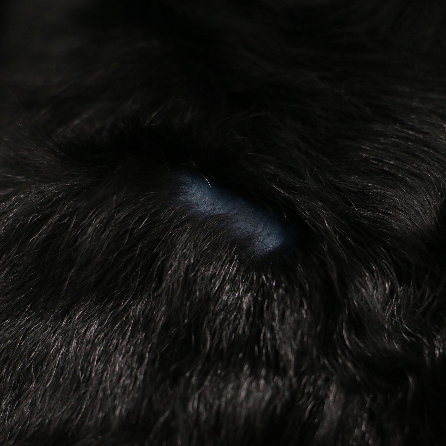 ファー ダウン リバーシブル コート / ロング スタンドカラー ペイズリー柄 カーリーヘア レザーパイピング