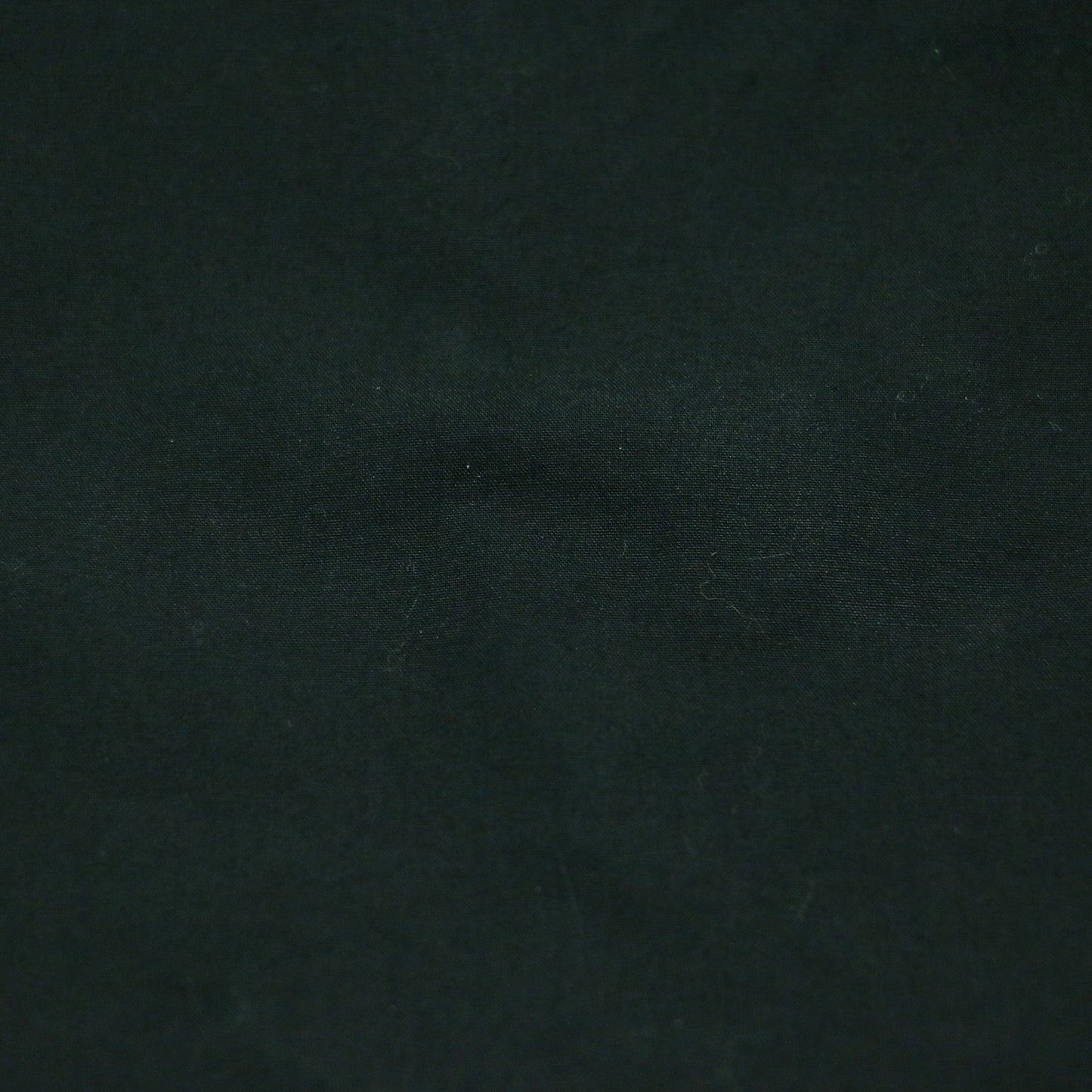 24春夏 ノースリーブ ブラウス / ノーカラー タイプライター コットン