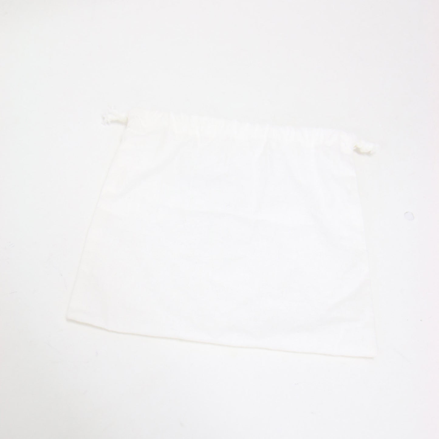 24春夏 チェーン ショルダーバッグ SB1WG0046 P4348 / 5AC TOTE HORIZONTAL 2WAY ハンドバッグ 巾着 カレンダータグ ナンバリングタグ レザー 牛革