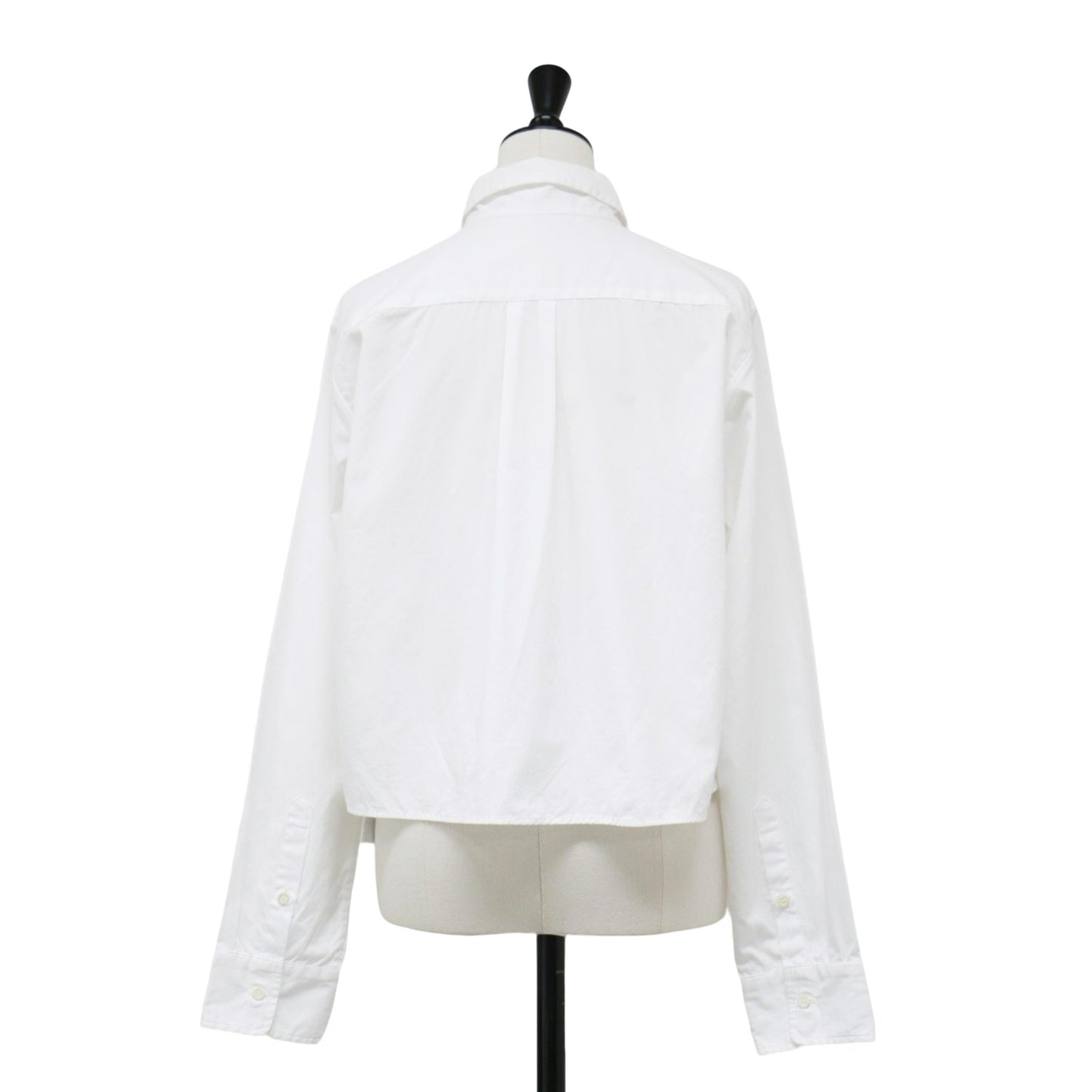 ショート シャツ / 長袖 レギュラーカラー コットン