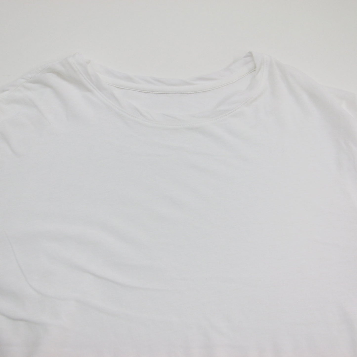 25春夏 ハイゲージ ロング Tシャツ / high gauge long カットソー クルーネック 長袖 シアー コットン