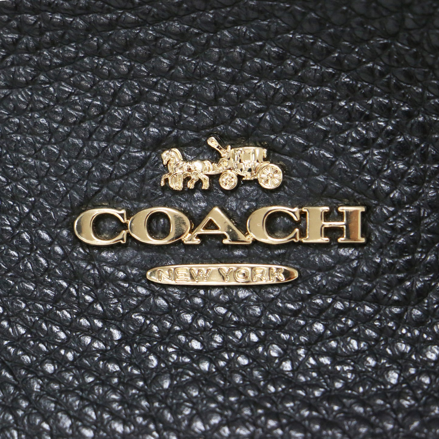 レザー リュック / バックパック ロゴ シボレザー 本革