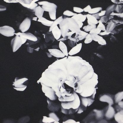 花柄 プリント ノースリーブ ブラウス / PHOTO FLORAL CDC BRINGAM クルーネック シルク