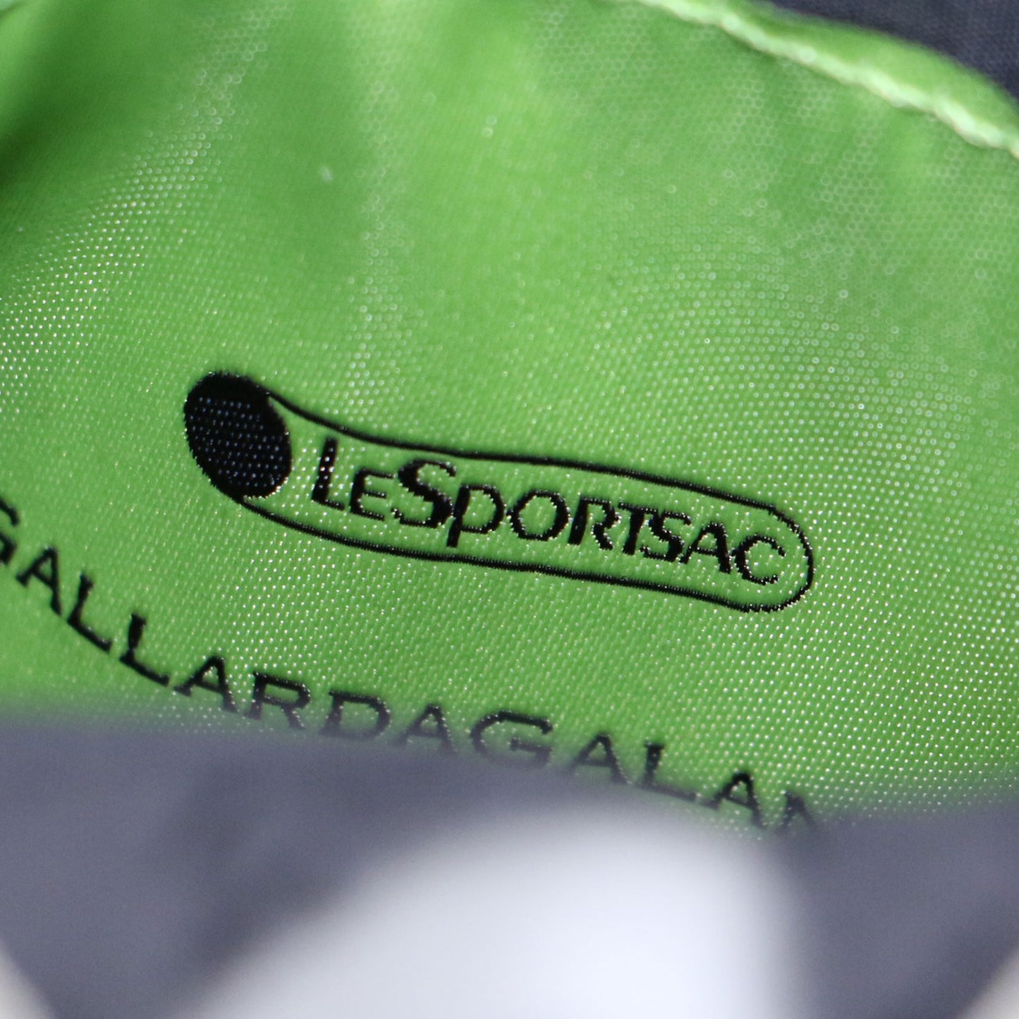 × GALLARDAGALANTE 別注 クロスボディ バック / ショルダー ハンドバッグ 2WAY ナイロン