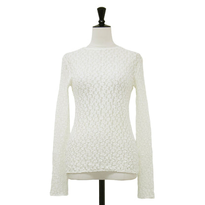 レース カットソー / Tシャツ クルーネック 長袖 ロングスリーブ シアー ストレッチ