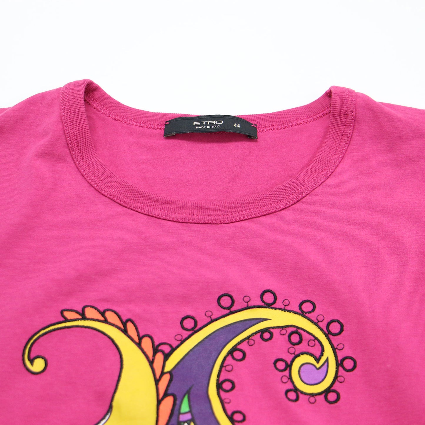 ペイズリー プリント 半袖 Tシャツ / クルーネック ショートスリーブ 刺繍 コットン