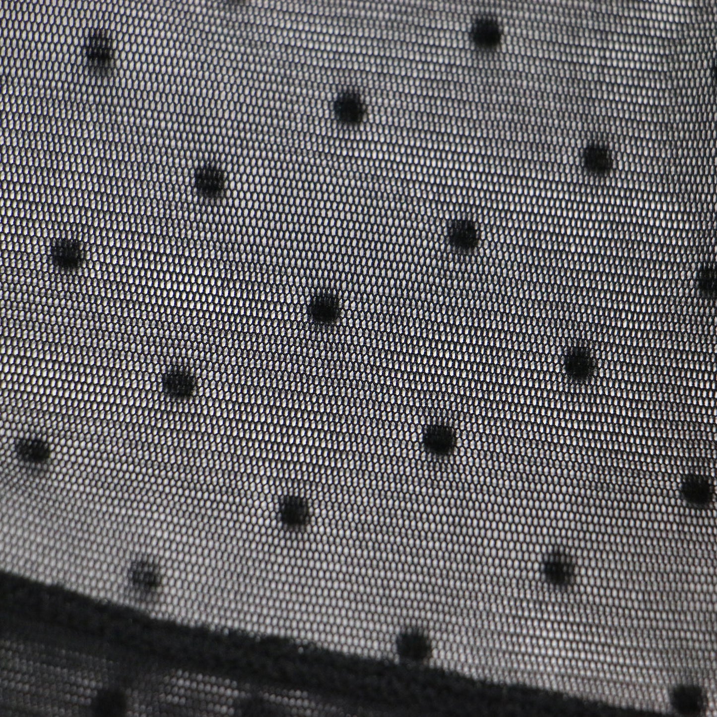 24春夏 フロッキー チュール 半袖 トップス / カットソー スタンドネック ドレープ シアー ドット柄