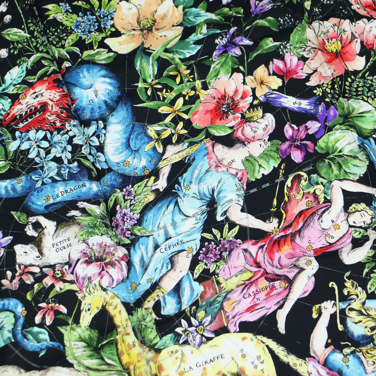22秋冬 D-コンステレーション プリント シルク スカーフ / 大判 花柄 星座 フラワープリント