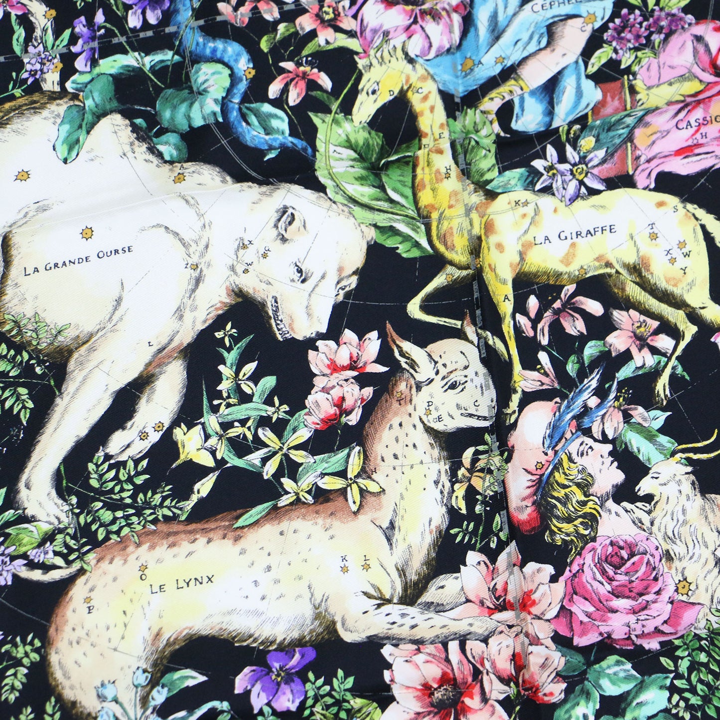 22秋冬 D-コンステレーション プリント シルク スカーフ / 大判 花柄 星座 フラワープリント