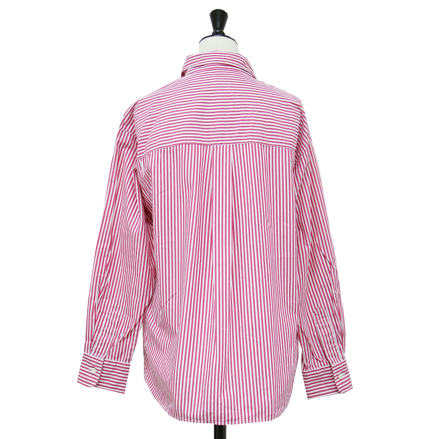 24秋冬 50コットン スタンダード シャツ / レギュラーカラー 長袖 ストライプ