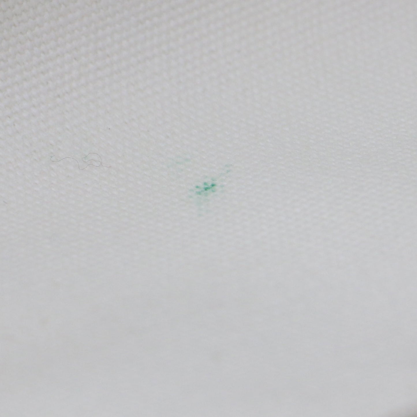 ラミネート 刺繍 2WAY トートバッグ / ショルダー 肩掛け リーフ柄 プリント コットン