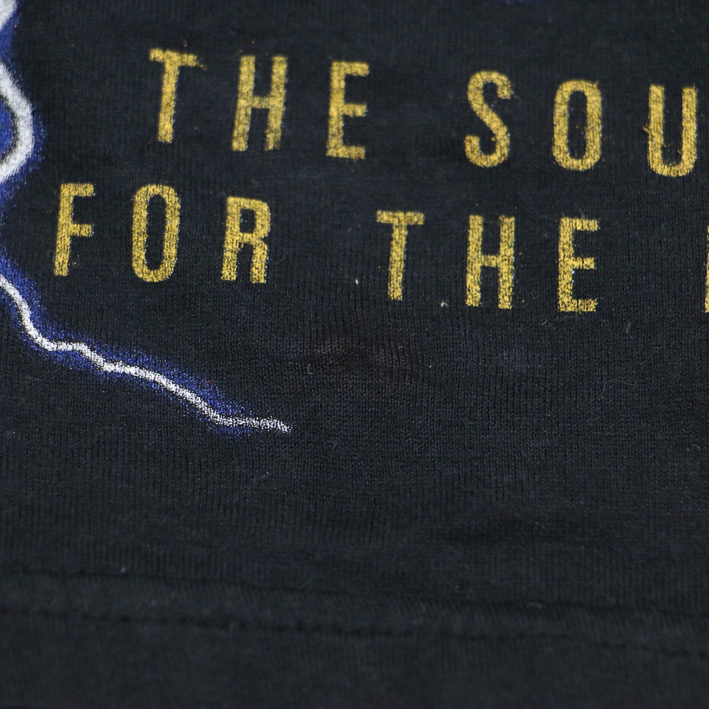 花柄 シフォン ドッキング Tシャツ / THUNDER MOUNTAIN カットソー 半袖 クルーネック パフスリーブ ロゴ グラフィック プリント