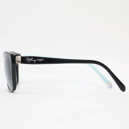 TF 4083-A サングラス / アイウェア グラデーションレンズ ロゴ