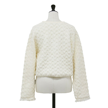 25春夏 パイルジャカード ショート カーディガン / ニット 長袖 コンパクト Vネック ジャガード フリンジ