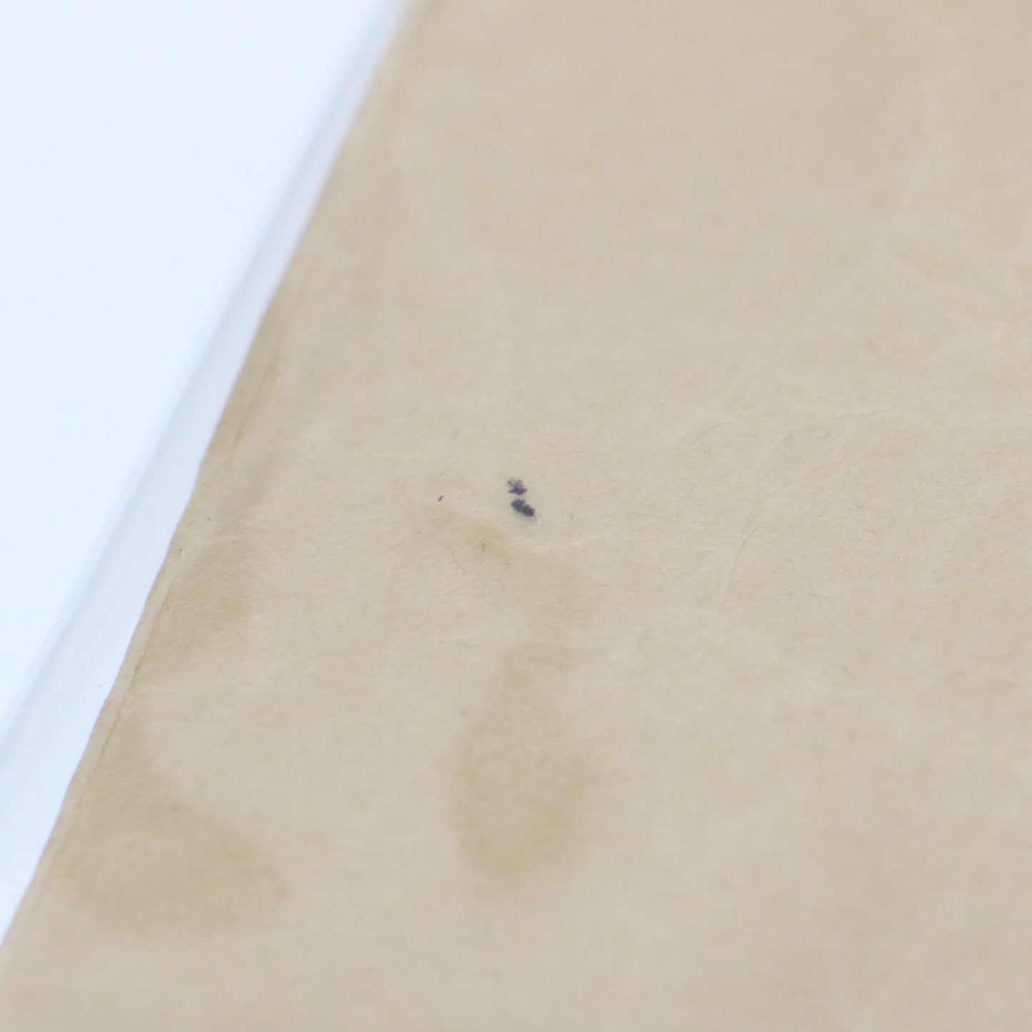 PVC クラフトペーパー トートバッグ / ハンドバッグ ロゴ 定番