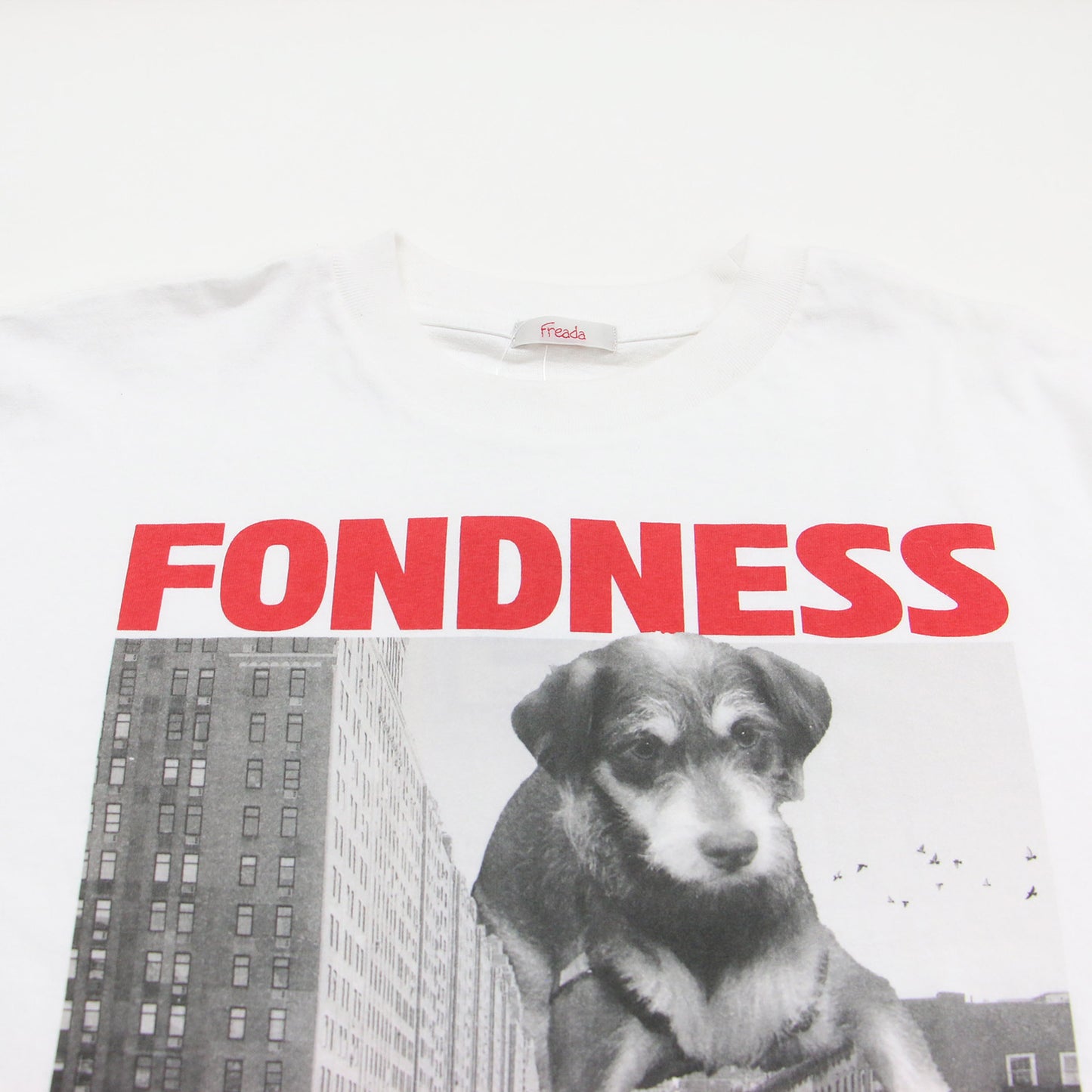 Freada 25秋冬 ドッグ フォトプリント ロンT / ロングスリーブ Tシャツ 長袖 クルーネック コットン
