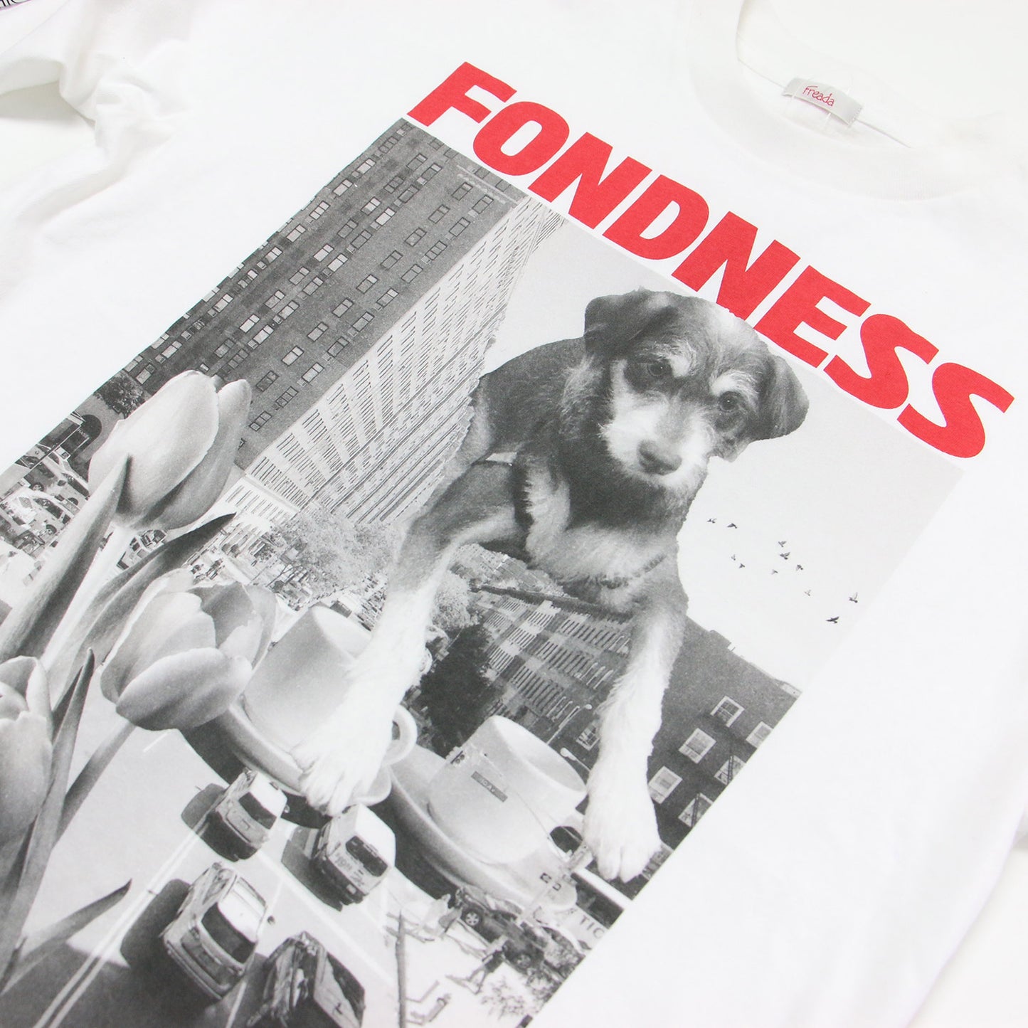 Freada 25秋冬 ドッグ フォトプリント ロンT / ロングスリーブ Tシャツ 長袖 クルーネック コットン