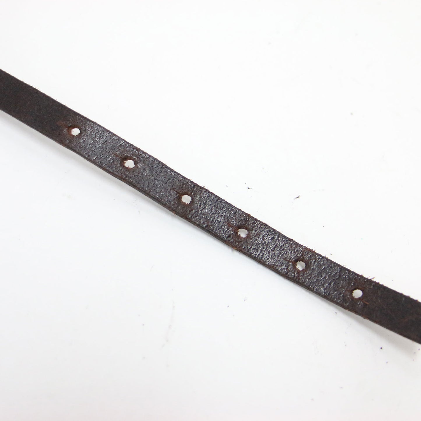 24秋冬 ベルト / BELT SPARTIATE24MM レザー 細幅 バックル