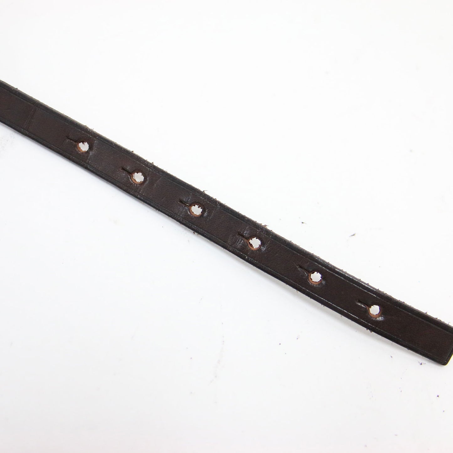 24秋冬 ベルト / BELT SPARTIATE24MM レザー 細幅 バックル