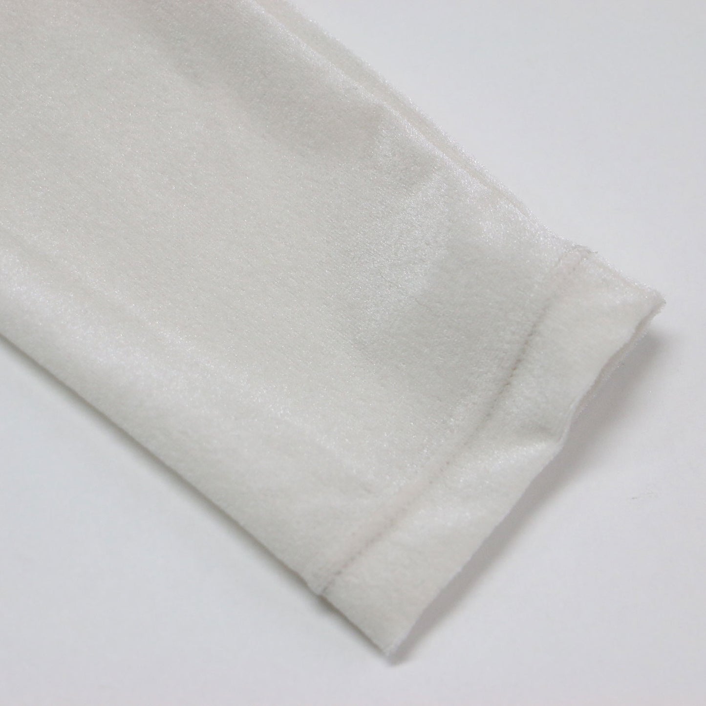 25秋冬 ベロア タートル カットソー / Tシャツ 長袖 シアー