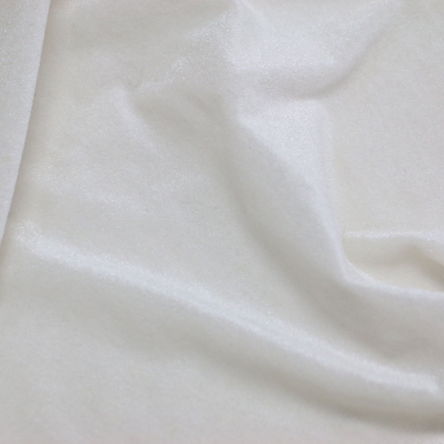 25秋冬 ベロア タートル カットソー / Tシャツ 長袖 シアー