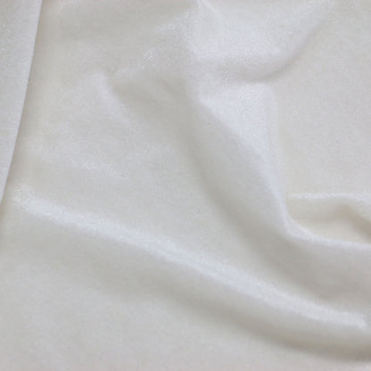 25秋冬 ベロア タートル カットソー / Tシャツ 長袖 シアー