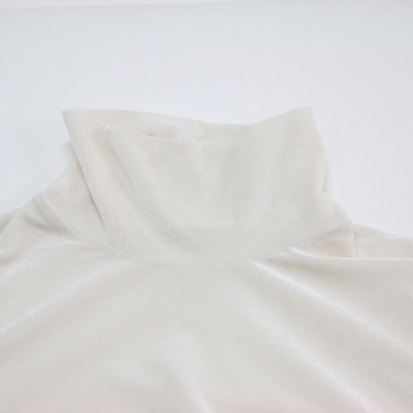 25秋冬 ベロア タートル カットソー / Tシャツ 長袖 シアー