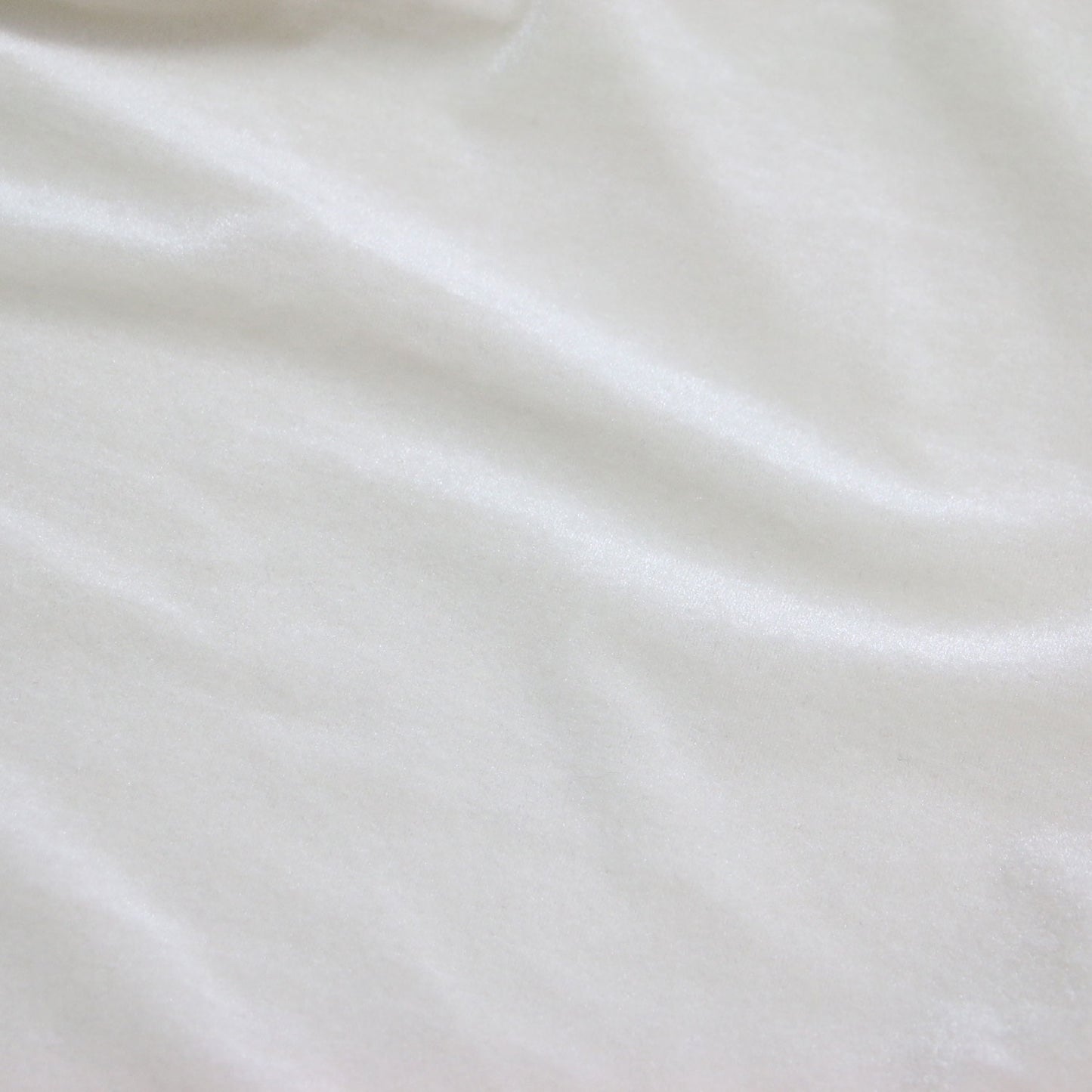 25秋冬 ベロア タートル カットソー / Tシャツ 長袖 シアー