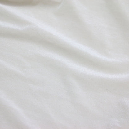 25秋冬 ベロア タートル カットソー / Tシャツ 長袖 シアー