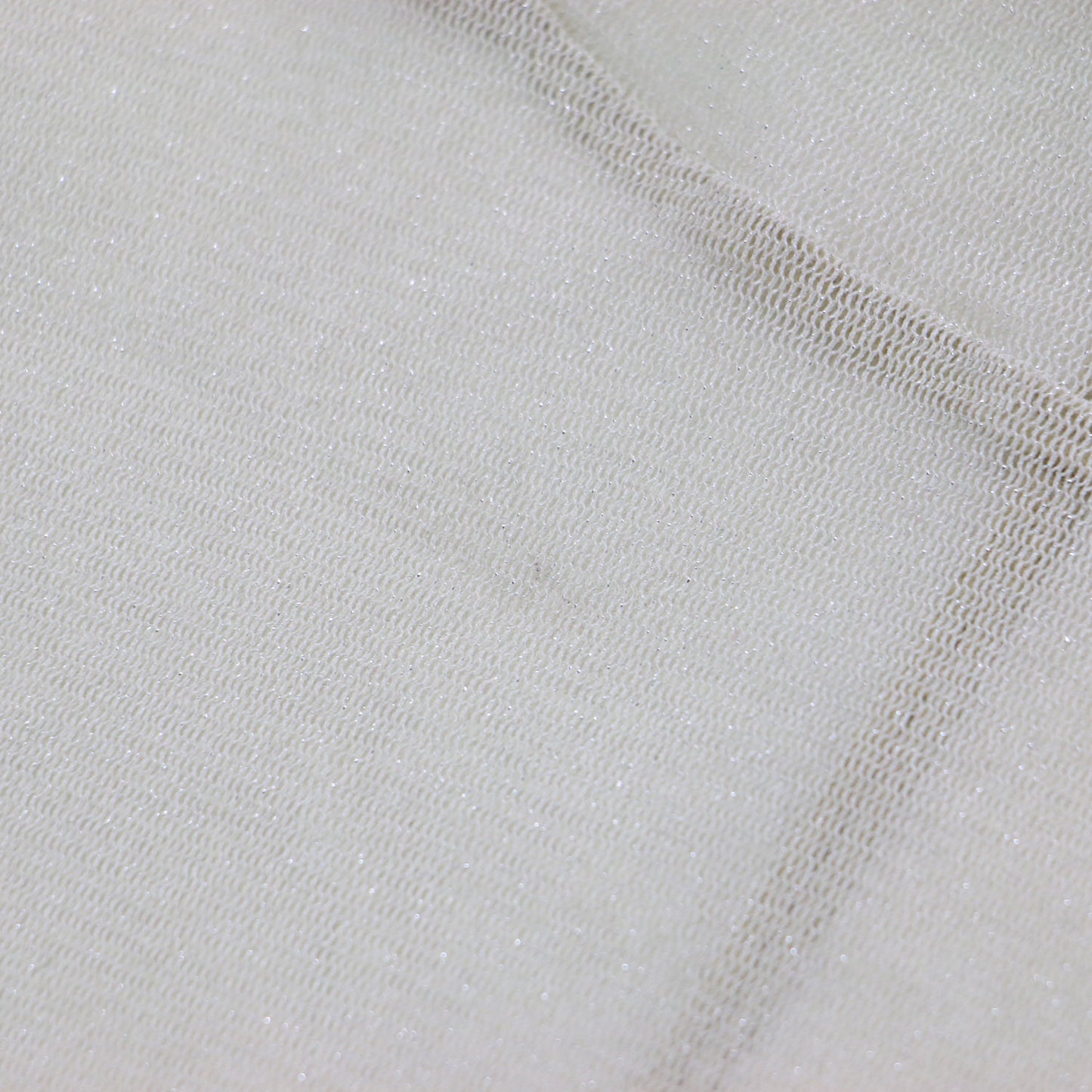 24秋冬 ハイネック ラメ プルオーバー / カットソー 長袖 タートルネック シアー コンパクト