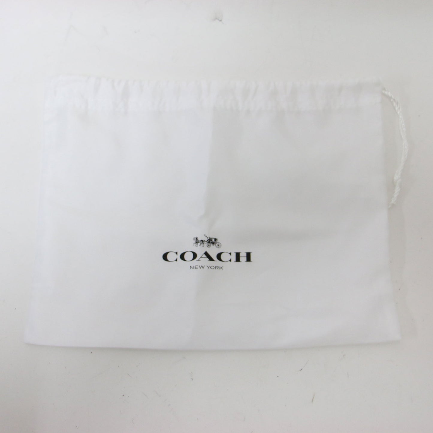 レガシー チェーン クロスボディ バッグ / ショルダーバッグ 肩掛け ロゴ レザー