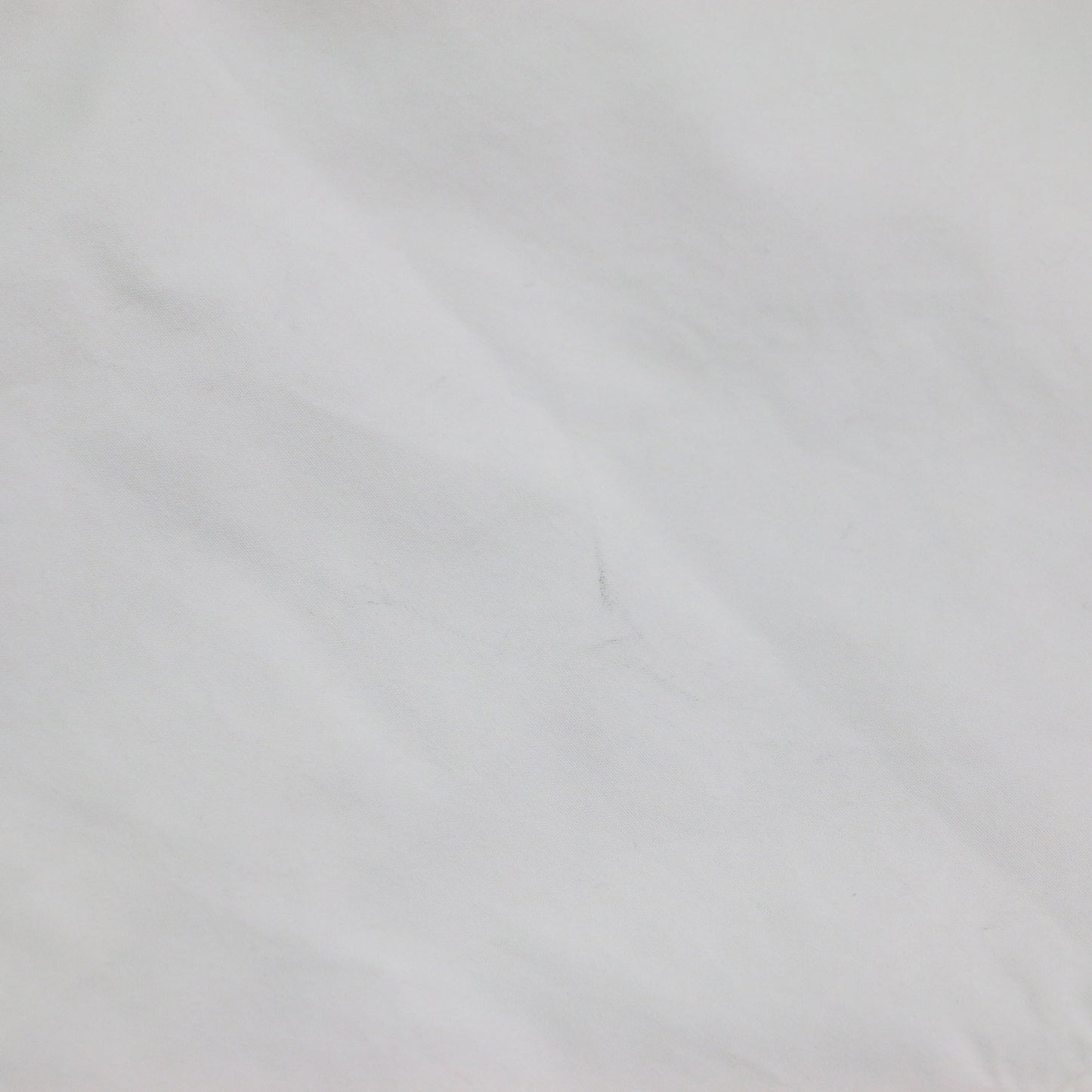 25春夏 メタル カラー シャツ / METAL COLLAR SHIRT クロップド丈 長袖 コットン