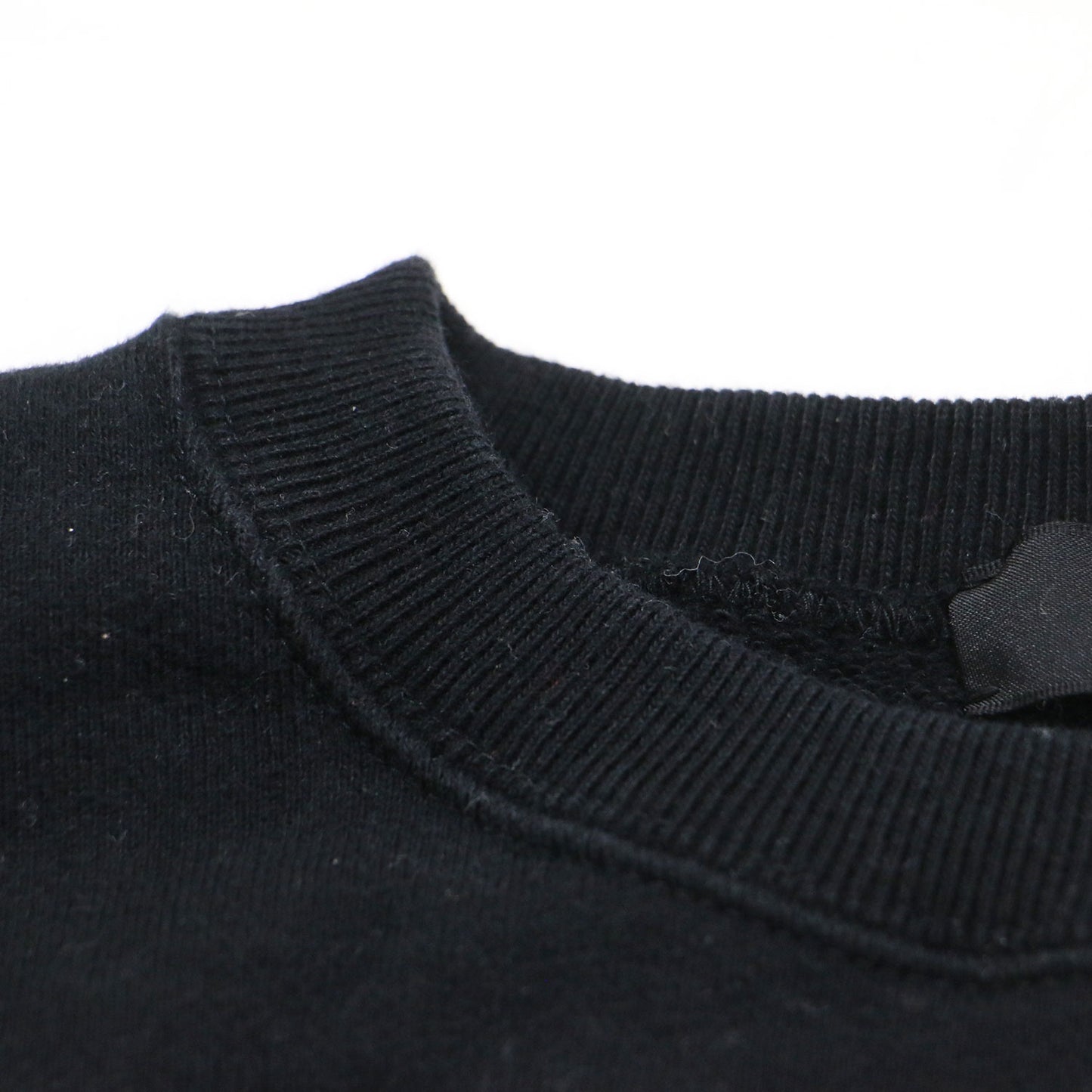 25秋冬 ビッグ プルオーバー スウェット シャツ / BIG SWEAT SILENT WANDERER プリント 裏毛 コットン