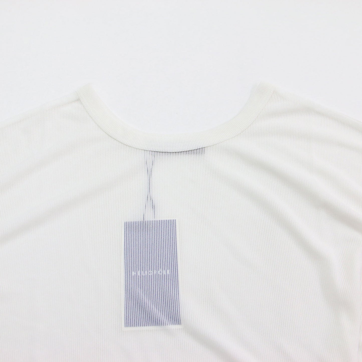 25春夏 シアーストライプ Tシャツ / SHEER STRIPE TEE カットソー プルオーバー 半袖 クルーネック 透け感 ワイド