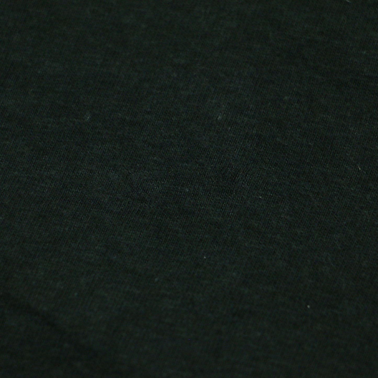 × L'Appartement 別注 24春夏 ANRCN プリント Tシャツ / カットソー 半袖 ロゴ コットン