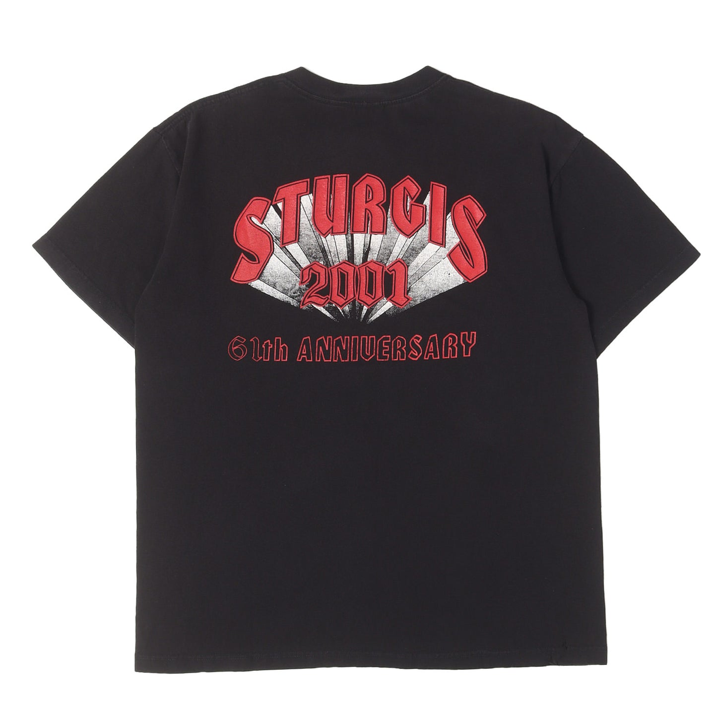 00s STURGIS 2001 イーグル 両面プリント クルーネック Tシャツ / メキシコ製 champ