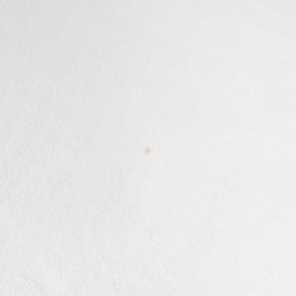 90s キャプテン フォトプリント Tシャツ / カナダ製 SCREEN STARS