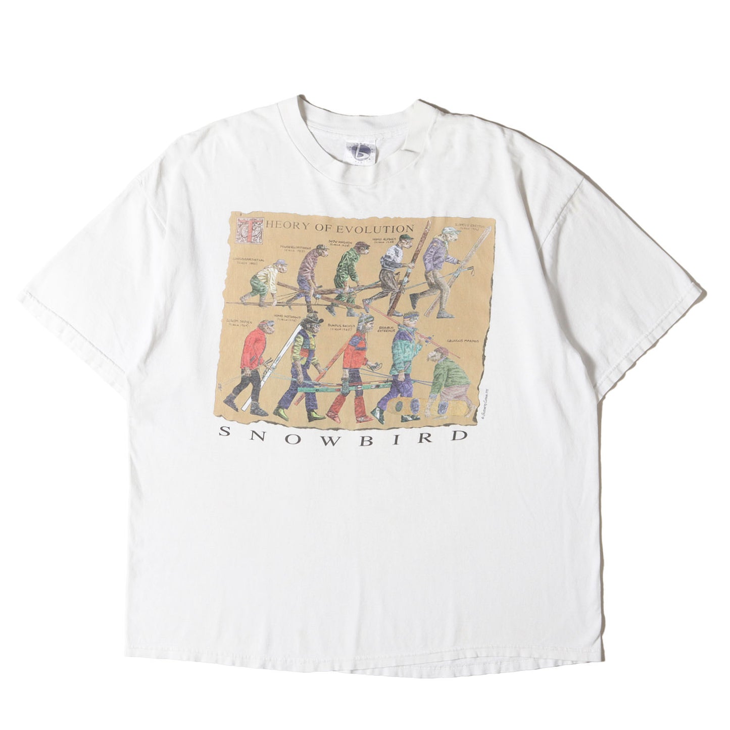 90s 猿の進化 Tシャツ / ハイチ製 backcountry