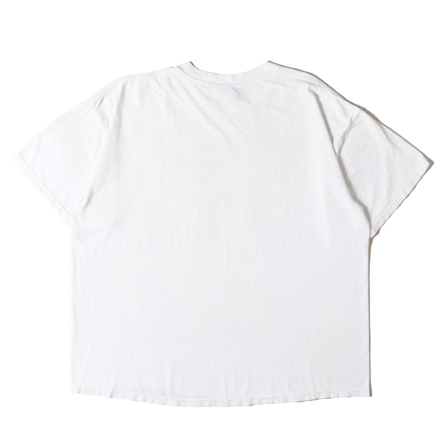 90s 猿の進化 Tシャツ / ハイチ製 backcountry