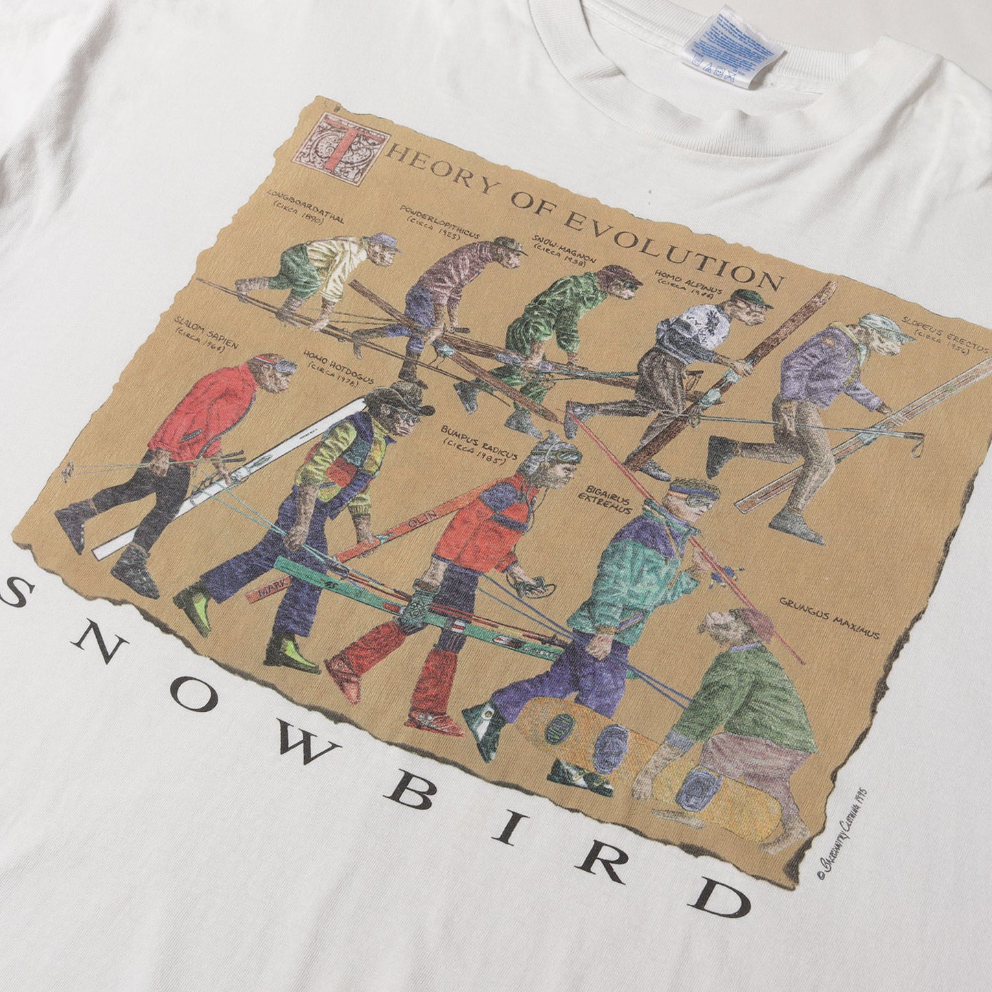 90s 猿の進化 Tシャツ / ハイチ製 backcountry