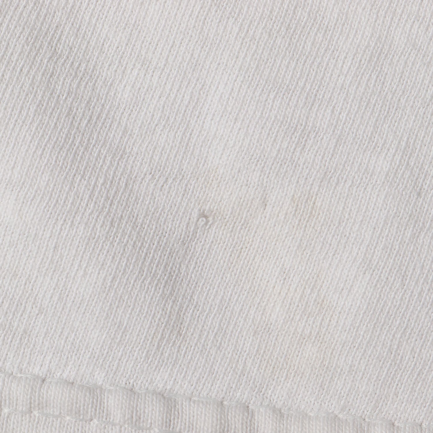 90s 猿の進化 Tシャツ / ハイチ製 backcountry