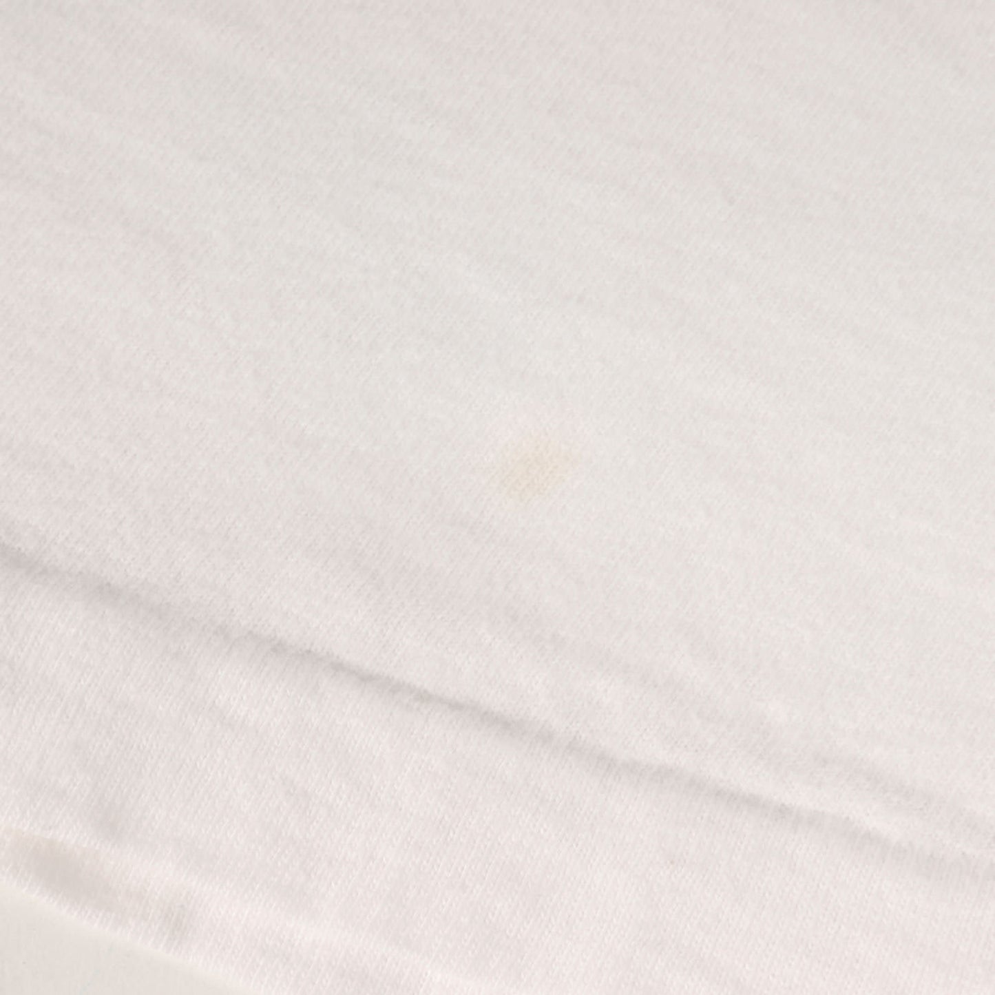 90s ブラックバス イラスト Tシャツ / USA製 Hanes