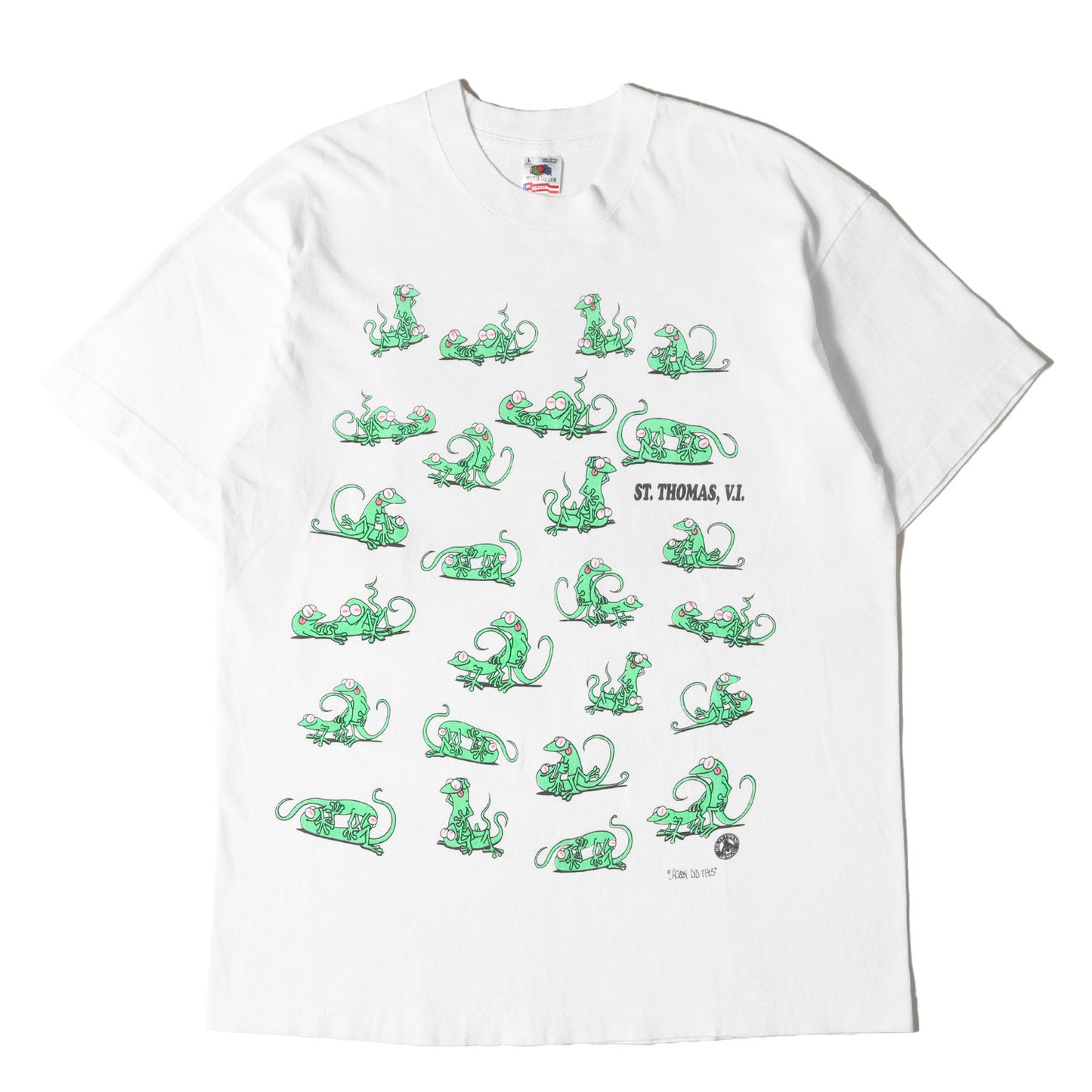 90s カメレオン 四十八手 両面プリント Tシャツ / USA製 FRUIT OF THE ROOM