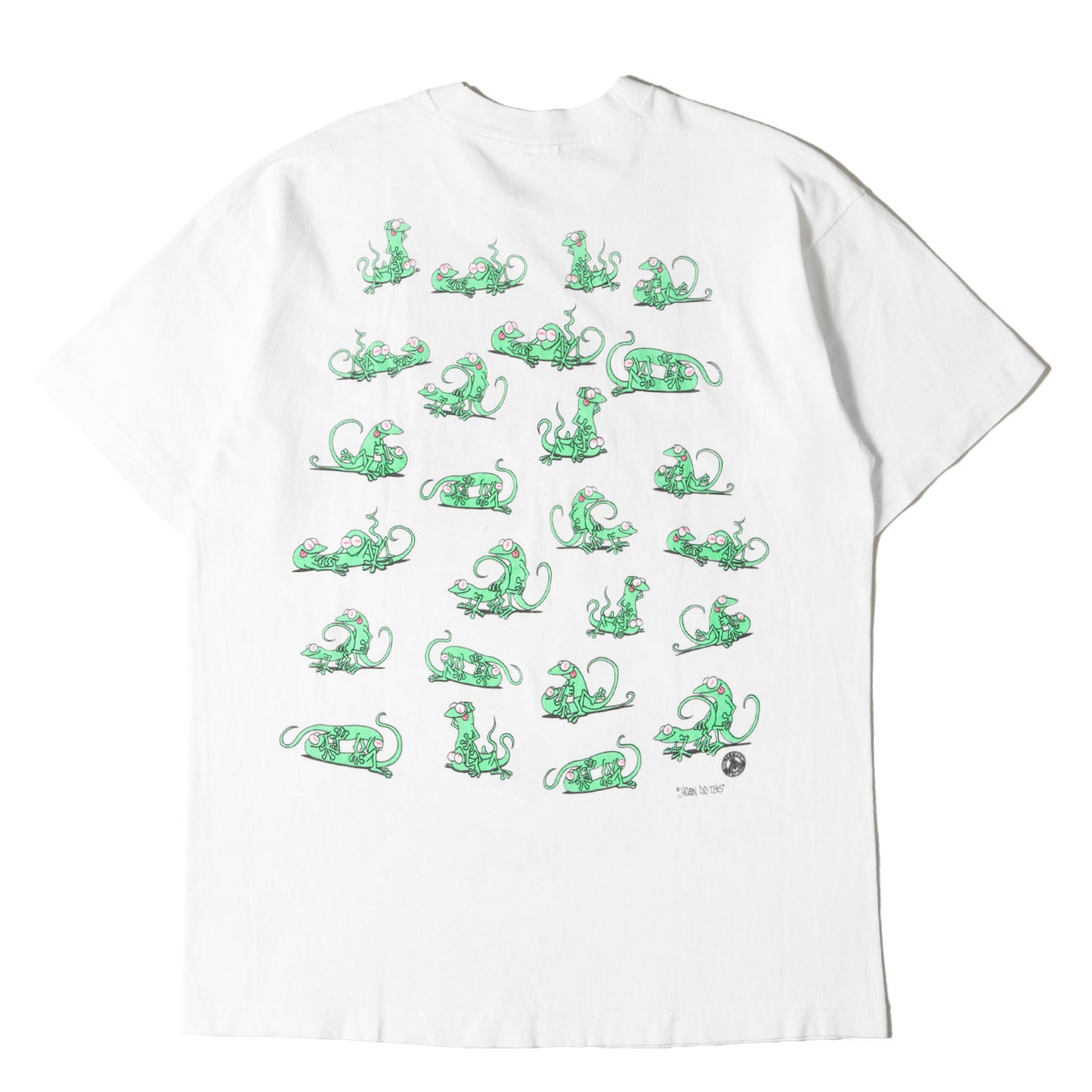 90s カメレオン 四十八手 両面プリント Tシャツ / USA製 FRUIT OF THE ROOM